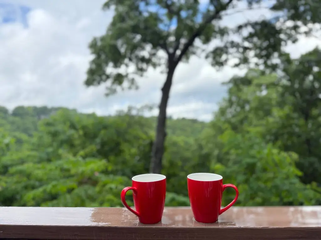 167445 425579 BVLVDmG64sarbjfxXpP3Z n7 zzkathjRwHOPtpCck 68a784d0873dc.jpg