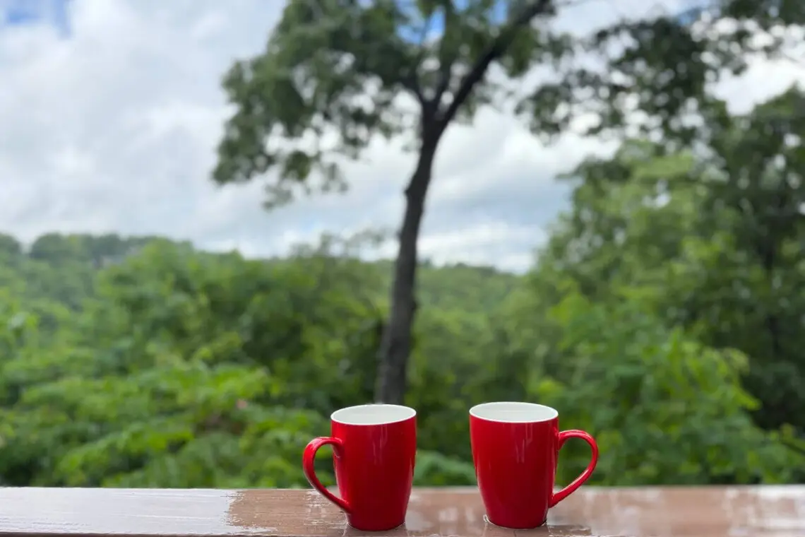 167445 425579 BVLVDmG64sarbjfxXpP3Z n7 zzkathjRwHOPtpCck 68a784d0873dc.jpg