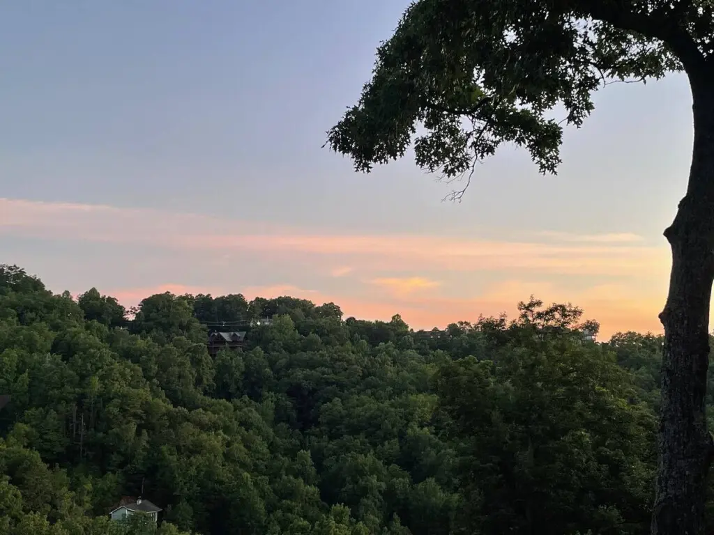 167445 425579 KAN93KWYv uSGQun2dqemZuI ibPEp7OnLAz6oZJ Bs 68a784d231713.jpg