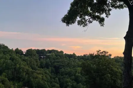 167445 425579 KAN93KWYv uSGQun2dqemZuI ibPEp7OnLAz6oZJ Bs 68a784d231713.jpg