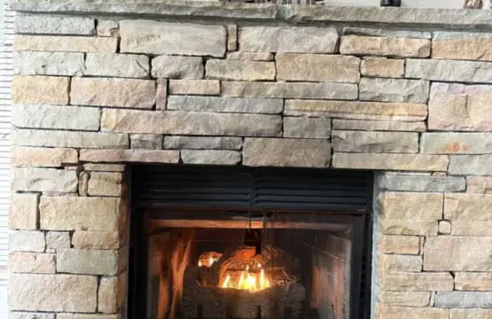 167445 425579 OnFk1I1C uam45SwlI4GGz34Uft buZyZWn BUJ7f Y 68a79e4ea942d.jpg