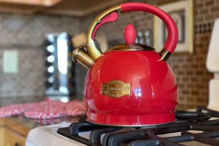 167445 425581 APWKBVbPFRj4Uihge A5x2GGmjeCkIZDYv6Uw HZAJY 68a784630332b.jpg