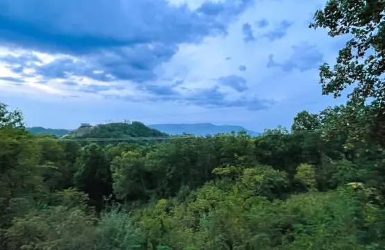 167445 425582 2FRxlhQaAI0ovSdQFyzlgQ9AJBi2Ufpqkx0roh2997U 68a784029dc7b.jpg