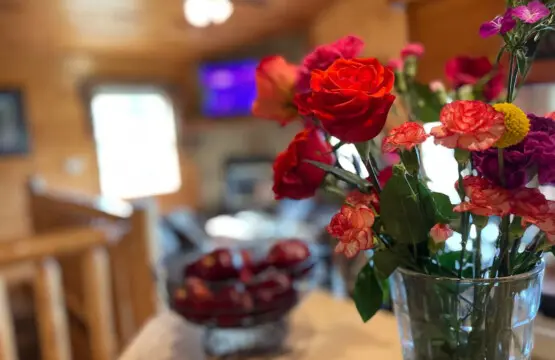 167445 425582 JIizWKpVrhMaenKwIDbOkdU7uqtOmO SkCH6KvCI9IU 68a79e31df5bd.jpg