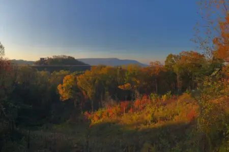 167445 425582 ahTXN8svfXdVd3vdbcdSU5ICYr od70qJ42wIgyr1ZE 68a783ecb7a15.jpg