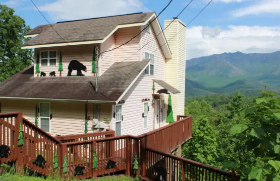 167445 425583 9UXyRHHniHiHPFovfAErUFxl17fOsYbaYw cydwBk4U 68a783a8e3c95.jpg