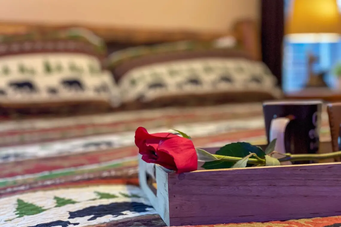 167445 425583 LO4mhculEocAPXQeOt VSKIUliercFExQqnQqOYmiqI 68a783cdcda5e.jpg