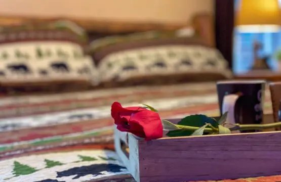 167445 425583 LO4mhculEocAPXQeOt VSKIUliercFExQqnQqOYmiqI 68a783cdcda5e.jpg