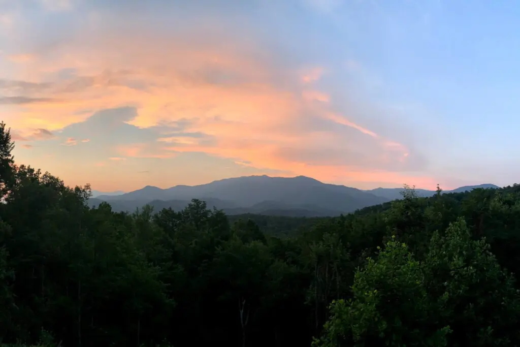 167445 425583 WpI64c8bd YTlDNKhnLiZUpN22wGo5wTbGMbDWnYNvs 68a783c0a72b8.jpg