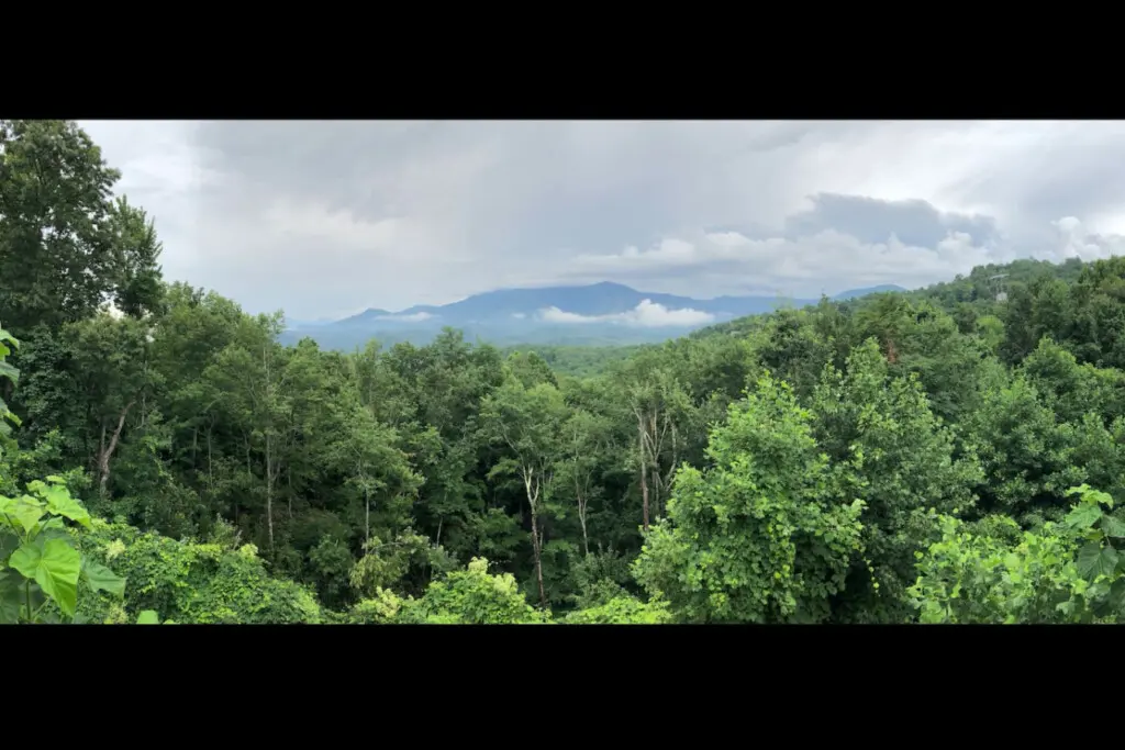 167445 425583 eWFTUlYKlXzhIqPs06TvmbpGthCAp6sAmrKhpsy6EHY 68a79e1b6b0c6.jpg