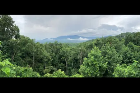 167445 425583 eWFTUlYKlXzhIqPs06TvmbpGthCAp6sAmrKhpsy6EHY 68a79e1b6b0c6.jpg