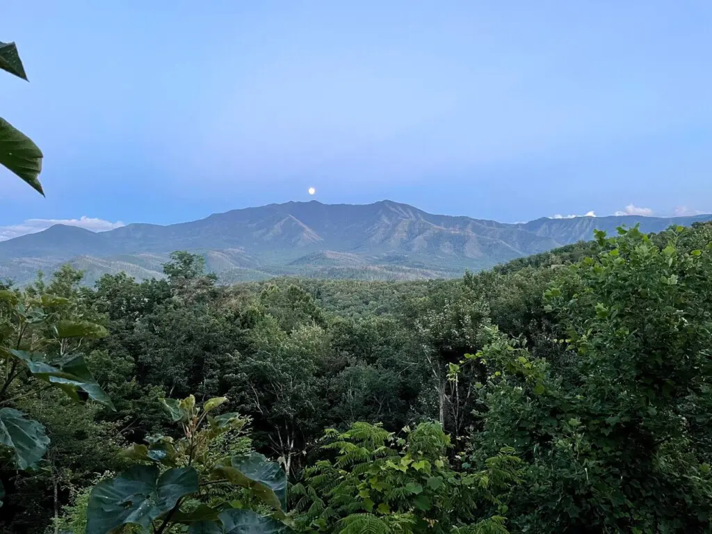 167445 425583 gWJjVaWB3AplXzFz QyjuKEfMlh57KkzwI1745X 8rU 68a783be0191d.jpg