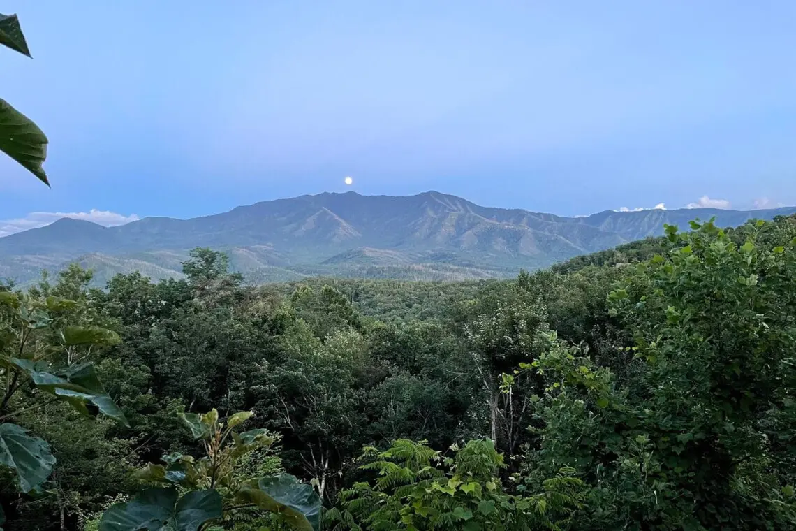 167445 425583 gWJjVaWB3AplXzFz QyjuKEfMlh57KkzwI1745X 8rU 68a783be0191d.jpg