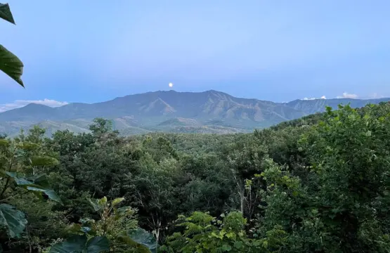 167445 425583 gWJjVaWB3AplXzFz QyjuKEfMlh57KkzwI1745X 8rU 68a783be0191d.jpg