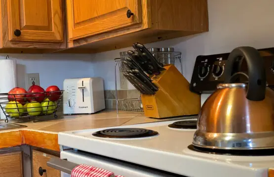 167445 425583 sesiLvu6kUf5Eyy gKARWVadW8pJu9HksoEWJ0ZTg E 68a7bcfb72b5b.jpg