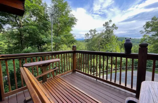 167445 425645 Neh iQQnpqqL u8svLPLzyNv1jaT cyWwvQ9OUqgwT0 68a7ac94d666f.jpg