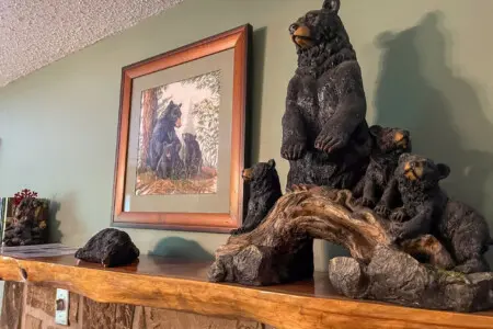 167445 425645 SwHcBpAJ0gjZELl9uDb9lgdJCNlTHEy6vGraY38kZkI 68a7bc6a85057.jpg