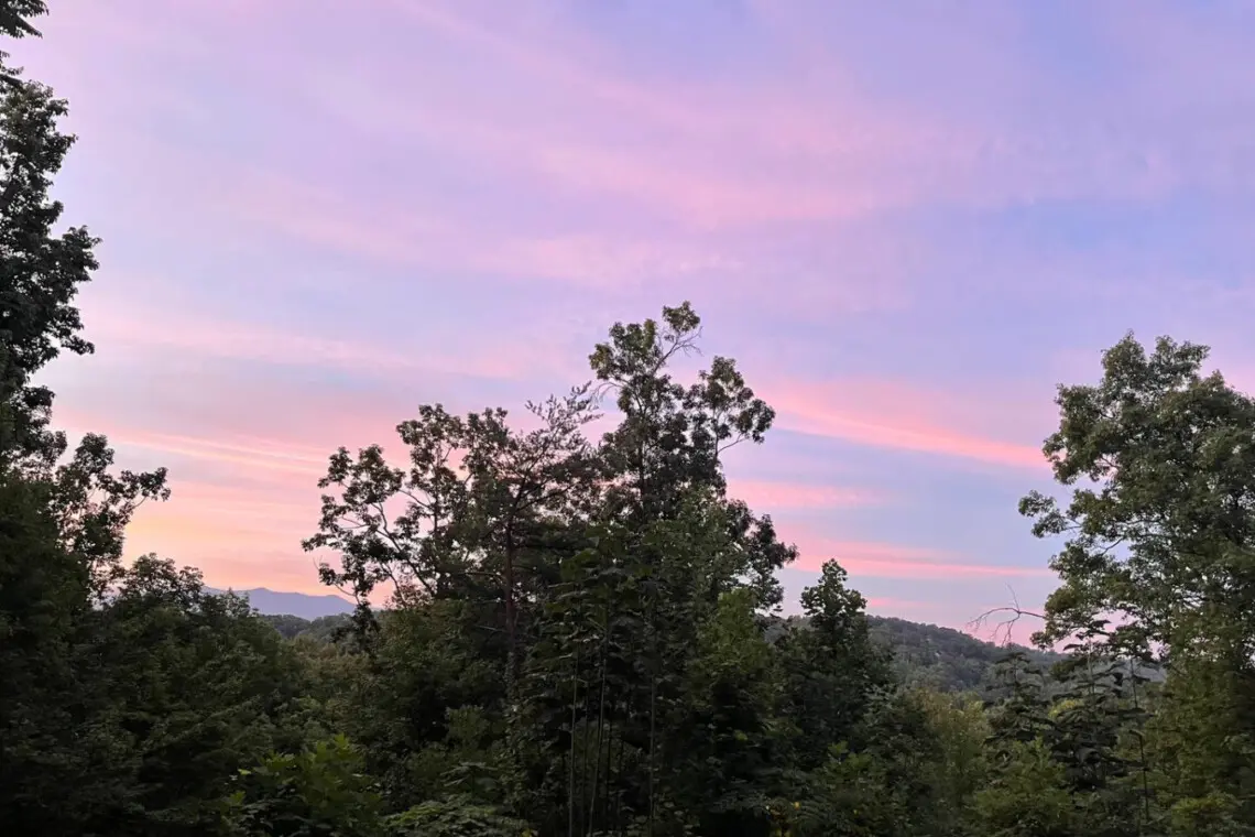 167445 425645 U qCCOISZs9IsLnVRj5 3s8R3Gw8uHa9CXC9cDriMAs 68a7ac8dcec58.jpg