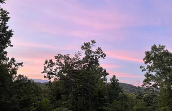 167445 425645 U qCCOISZs9IsLnVRj5 3s8R3Gw8uHa9CXC9cDriMAs 68a7ac8dcec58.jpg