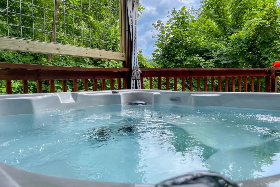 167445 425645 gLYUjrKhUzfcK 1xWHeukPpaNLXvEhaUjzo0xbcJ2rw 68a7acb1ea085.jpg