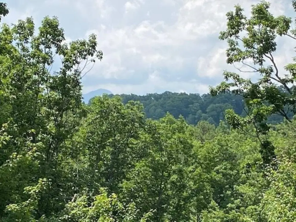 167445 425645 mKcXN3Wh4gXyeEa8Wvw3Lsf5E Mbq TObQaWBobPEno 68a7ac8f72898.jpg