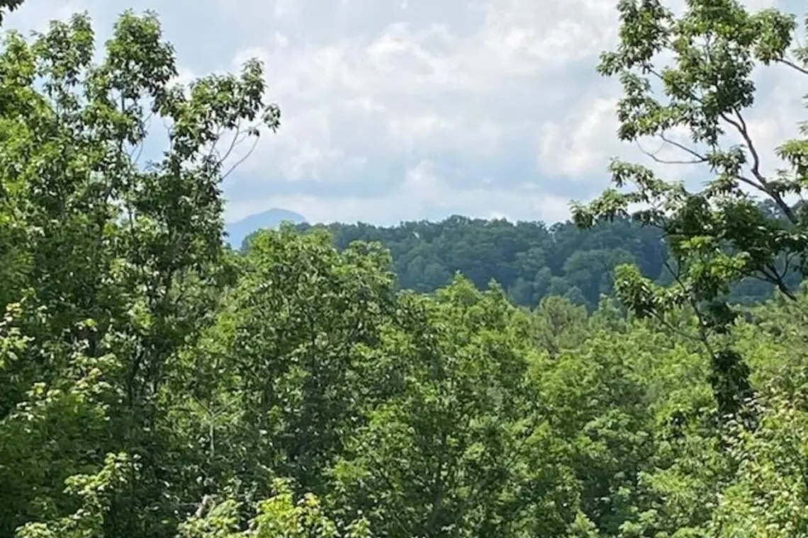 167445 425645 mKcXN3Wh4gXyeEa8Wvw3Lsf5E Mbq TObQaWBobPEno 68a7ac8f72898.jpg