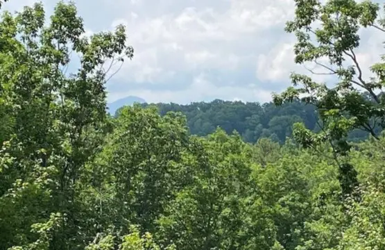 167445 425645 mKcXN3Wh4gXyeEa8Wvw3Lsf5E Mbq TObQaWBobPEno 68a7ac8f72898.jpg