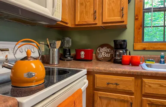 167445 425645 o2B61QOfCwX9OcAvA5y29z IFuwtr1TK99J2wMeLlDc 68a7aca3b8964.jpg