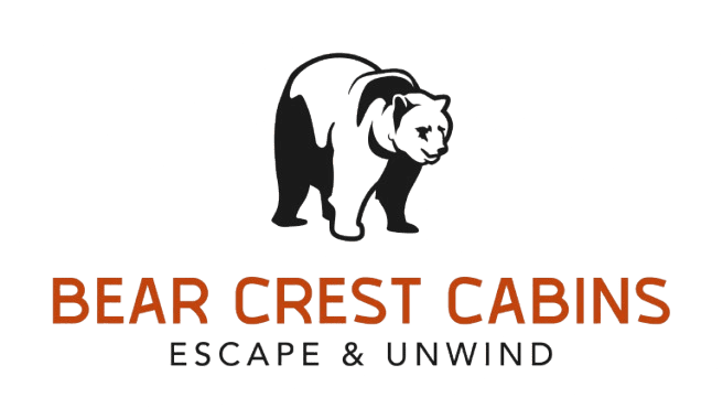 logo with padding removebg preview