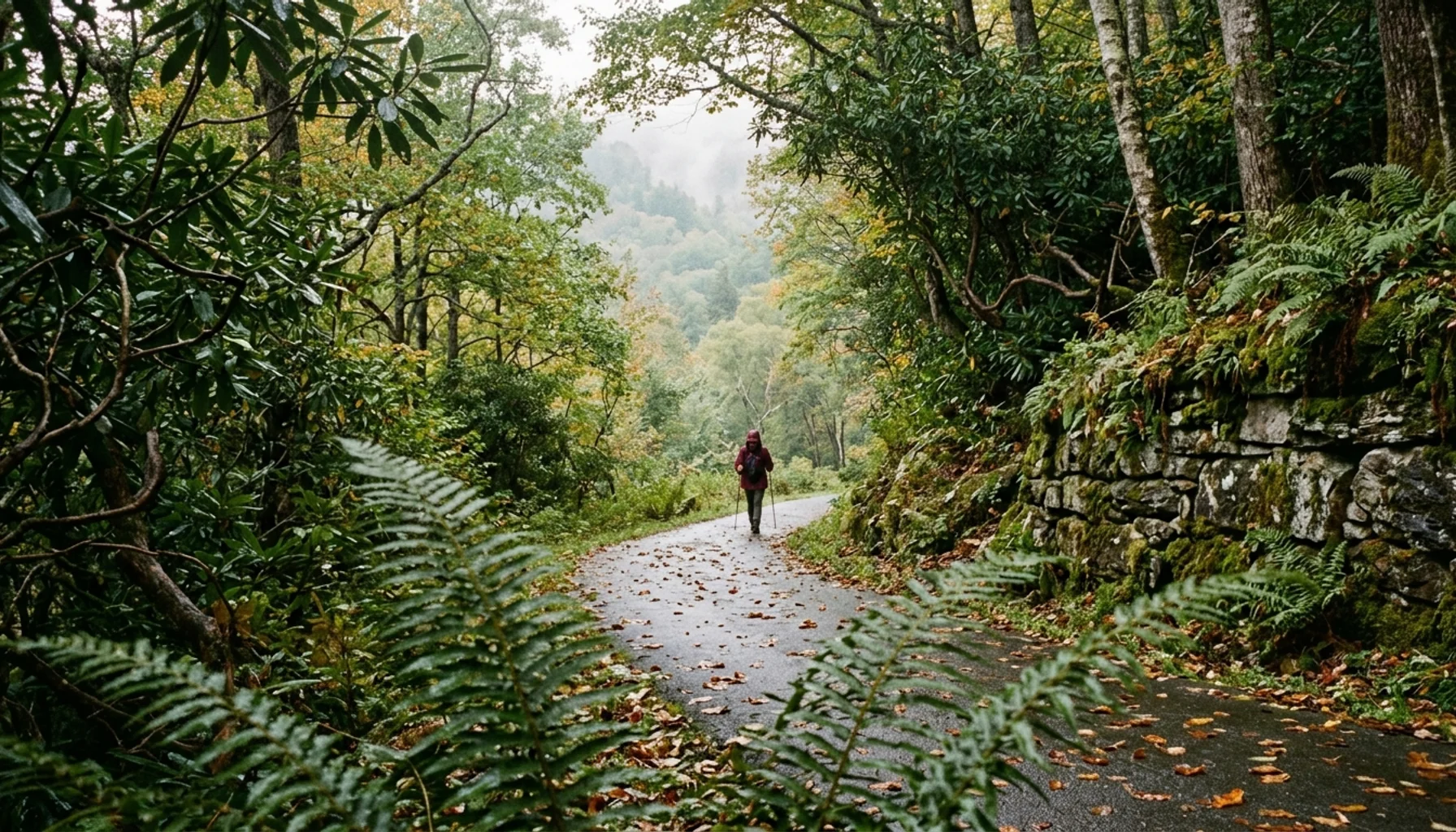 Paved forest trail in the Smokies, a quiet start to a weekend getaway Gatlinburg itinerary